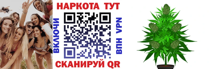 Купить закладку Alpha-PVP  Галлюциногенные грибы  Мефедрон  Амфетамин  КОКАИН  ГАШИШ  Марихуана  Котельники