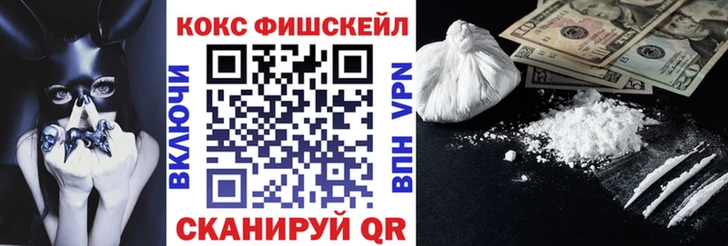 Купить закладки  Котельники  COCAIN Эквадор 