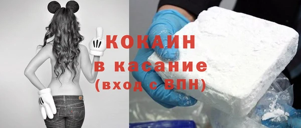 эйфоретик Арсеньев