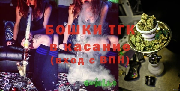 эйфоретик Арсеньев