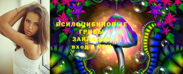 эйфоретик Арсеньев
