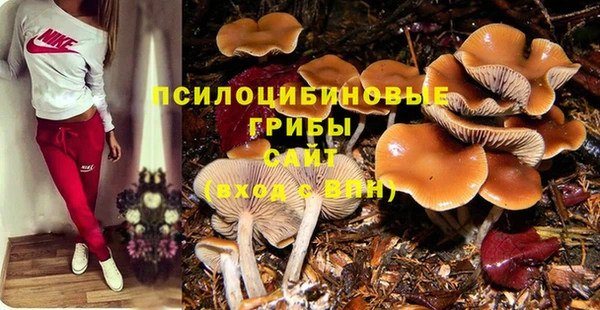 первитин Армянск