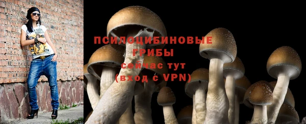 эйфоретик Арсеньев